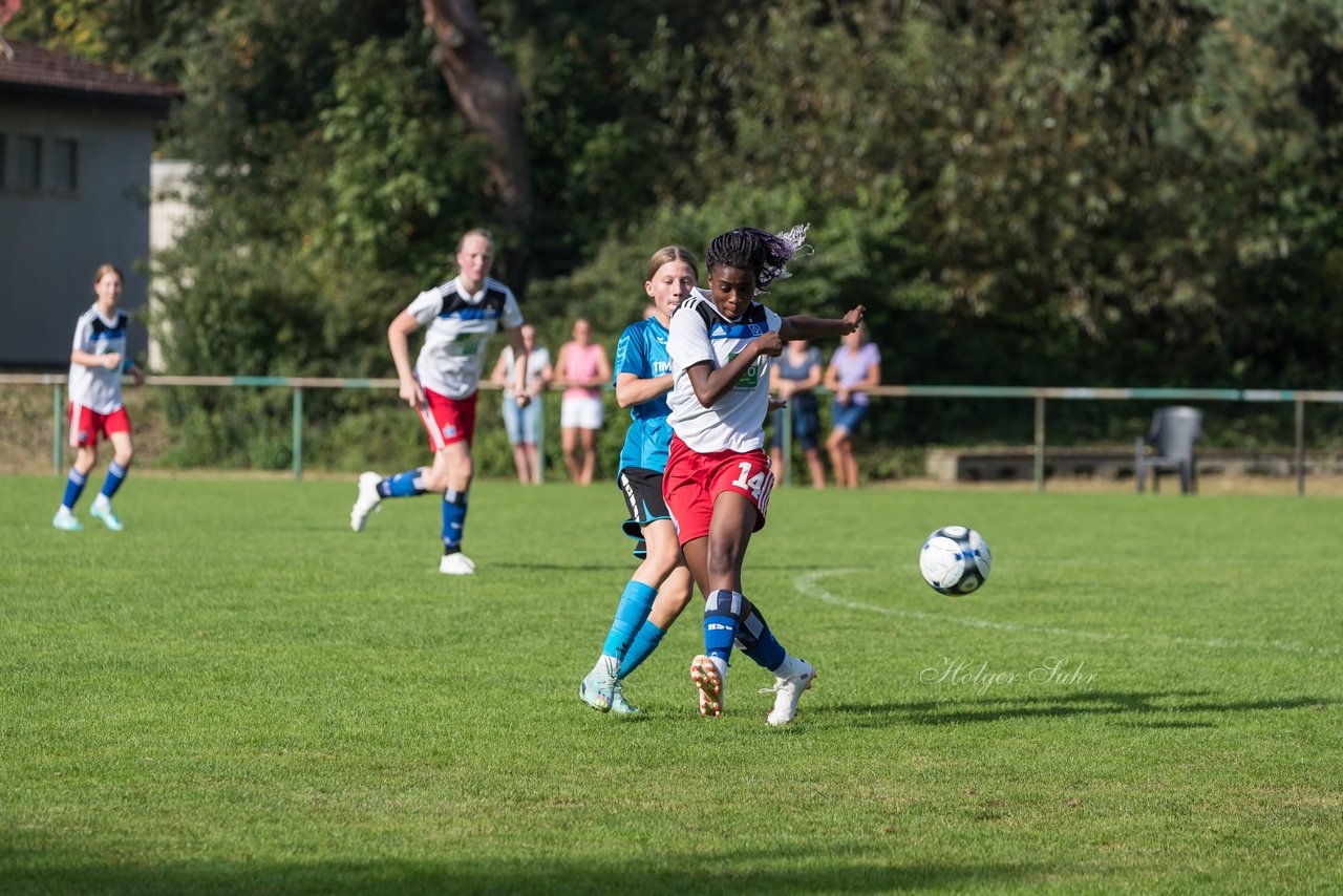 Bild 133 - wBJ VfL Pinneberg - Hamburger SV 2 : Ergebnis: 1:3